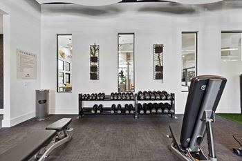 Free weights area